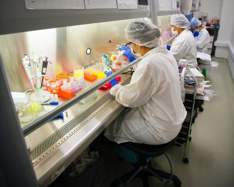 UDIBI-capacidad-en-ensayos-biológicos