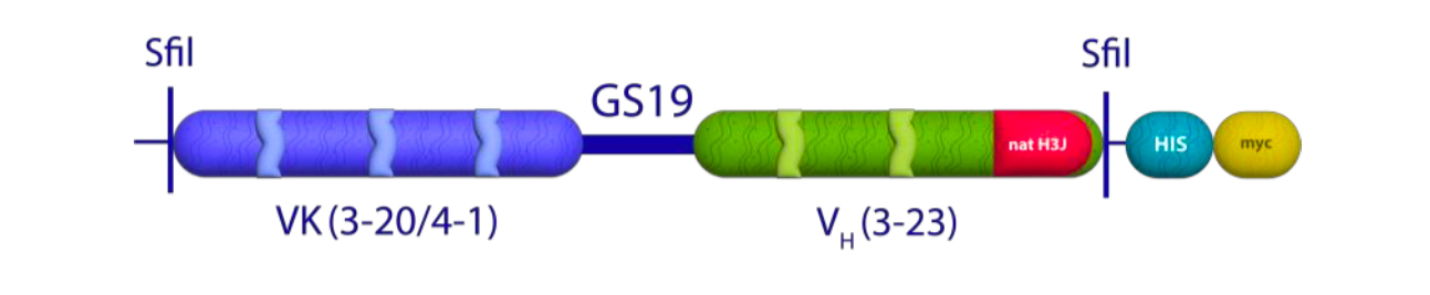 UDIBI_ALTHEA_LIBRARIES_GS19